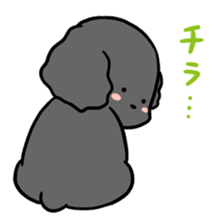 Black toy poodle "Konbu" sticker #4898691