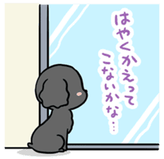 Black toy poodle "Konbu" sticker #4898694