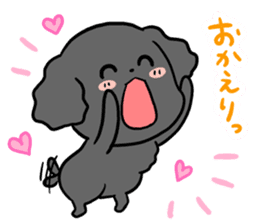 Black toy poodle "Konbu" sticker #4898695