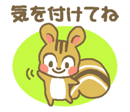 Everyday use of squirrel and rabbit sticker #4904059