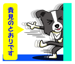 I Love Border Collie 2 sticker #4907834