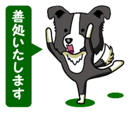 I Love Border Collie 2 sticker #4907844