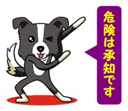 I Love Border Collie 2 sticker #4907856