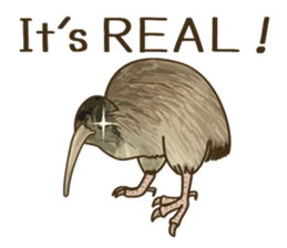Kiwi Bird Sticker sticker #4908011