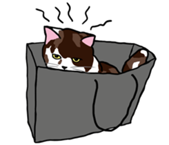 The Cat five sticker #4908628