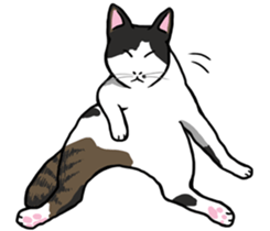 The Cat five sticker #4908629