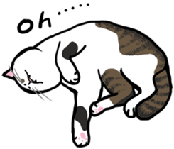 The Cat five sticker #4908633