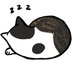 The Cat five sticker #4908635