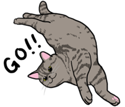 The Cat five sticker #4908638