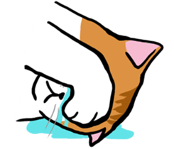 The Cat five sticker #4908642