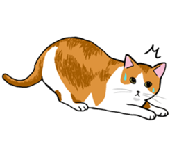 The Cat five sticker #4908643