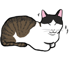 The Cat five sticker #4908647