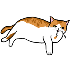 The Cat five sticker #4908654