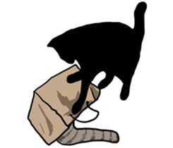 The Cat five sticker #4908662