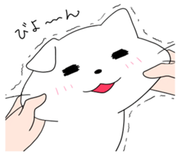 Cat O-chan sticker #4909338