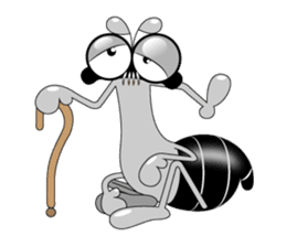 Tanoy Joy&Joke No.5 "Ta Hew" sticker #4910990