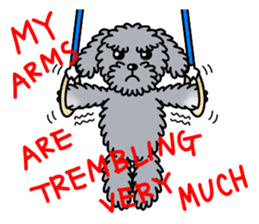 Gymnastic dogs sticker #4911146