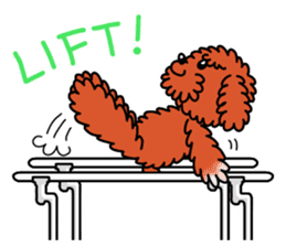 Gymnastic dogs sticker #4911148