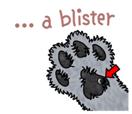 Gymnastic dogs sticker #4911176