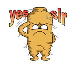 Amusing Mr. Ginseng part 1 (Daily Life) sticker #4911966