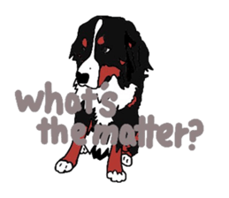Life of a dog. (English ver.) sticker #4912889