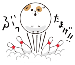 ROUND1's BOWLING BALL CAT sticker #4914649