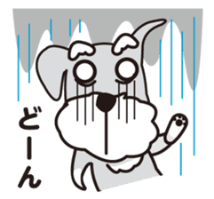 DOG Sticker/schnauzer sticker #4916251