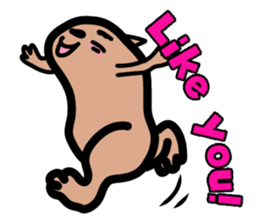 Capybara hot tub sticker #4917224