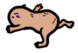 Capybara hot tub sticker #4917249