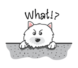 Tin Tin sticker #4918644