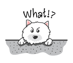 Tin Tin sticker #4918644