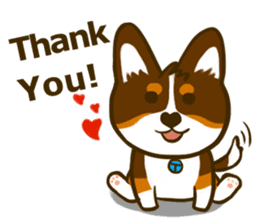 Love Corgi (Cute tricolor) sticker #4919582