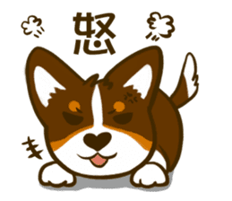 Love Corgi (Cute tricolor) sticker #4919584