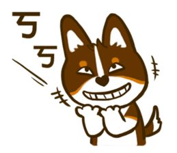 Love Corgi (Cute tricolor) sticker #4919590