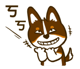 Love Corgi (Cute tricolor) sticker #4919590