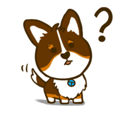 Love Corgi (Cute tricolor) sticker #4919593