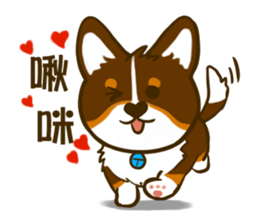 Love Corgi (Cute tricolor) sticker #4919594