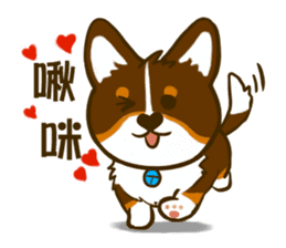 Love Corgi (Cute tricolor) sticker #4919594