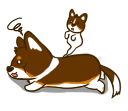 Love Corgi (Cute tricolor) sticker #4919595
