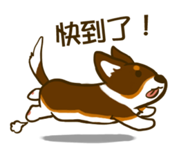 Love Corgi (Cute tricolor) sticker #4919597