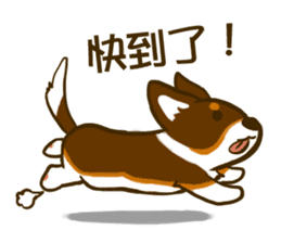 Love Corgi (Cute tricolor) sticker #4919597