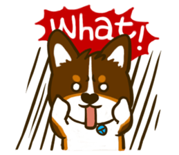 Love Corgi (Cute tricolor) sticker #4919598
