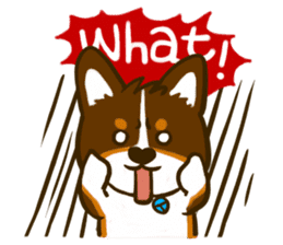 Love Corgi (Cute tricolor) sticker #4919598