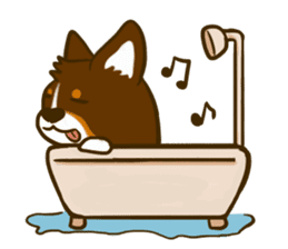 Love Corgi (Cute tricolor) sticker #4919600