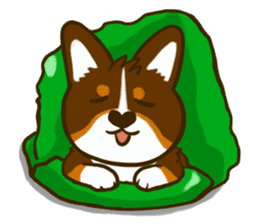 Love Corgi (Cute tricolor) sticker #4919604