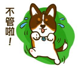 Love Corgi (Cute tricolor) sticker #4919606