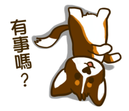 Love Corgi (Cute tricolor) sticker #4919609