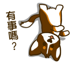 Love Corgi (Cute tricolor) sticker #4919609