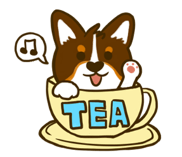 Love Corgi (Cute tricolor) sticker #4919612
