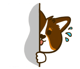 Love Corgi (Cute tricolor) sticker #4919613